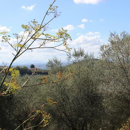Country House Il Covo della Civetta Barberino di Val dʼElsa Esterno foto
